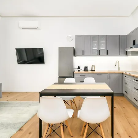 Modern Penthouse In A Century Old Building- 2 Br- Ac